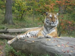 test 07062010 img_1520