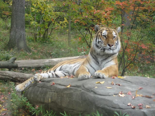 test 07062010 img_1520